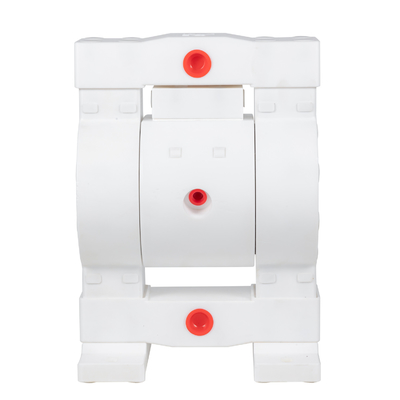RV 풀 PTFE 공기 대막 펌프 7 바 최대 압력 및 400cpm 최대 상호 속도