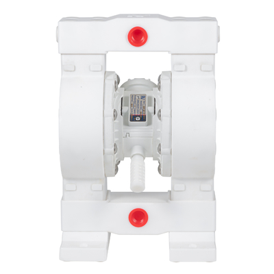 RV PTFE 대막 펌프 36lpm 최대 흐름 100psi 압력