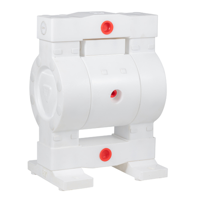 RV 풀 PTFE 공기 대막 펌프 7 바 최대 압력 및 400cpm 최대 상호 속도