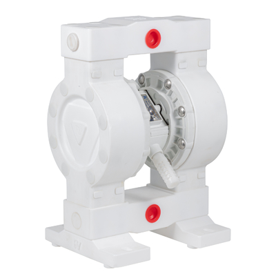 RV PTFE 대막 펌프 36lpm 최대 흐름 100psi 압력