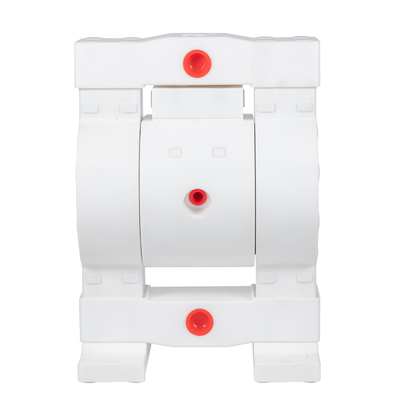 RV PTFE 대막 펌프 36lpm 최대 흐름 100psi 압력