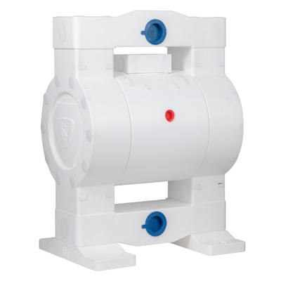 RV PTFE 대막 펌프 36lpm 최대 흐름 100psi 압력