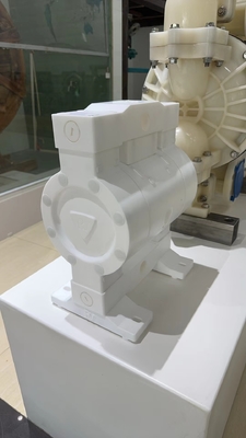 RV PTFE 대막 펌프 36lpm 최대 흐름 100psi 압력