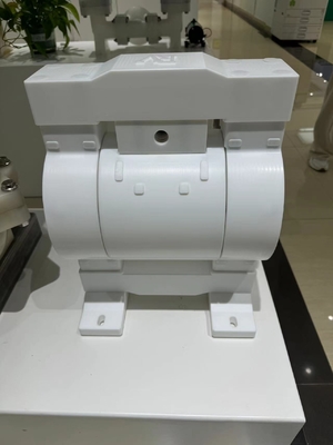 RV PTFE 대막 펌프 36lpm 최대 흐름 100psi 압력