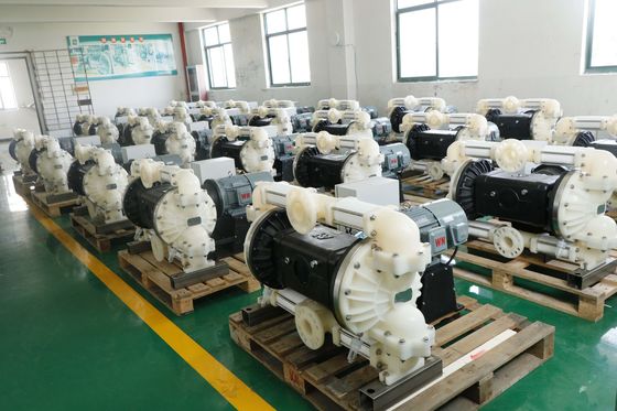 2 Inch Explosion-Proof Electric Diaphragm Pump with 6m³/h Flow Rate and 1 Year Warranty