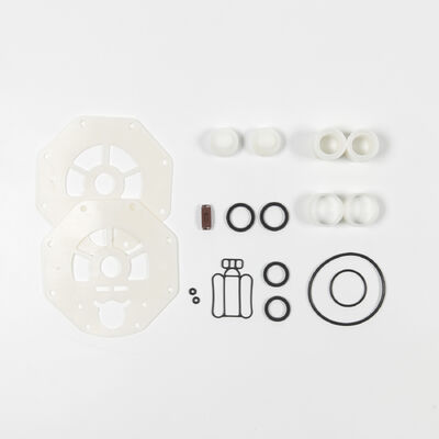 PP 재질 PTFE 다이어프램 펌프, 요소수 이송용 100psi 최대 압력