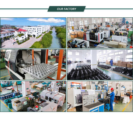 1인치 출구 크기와 OEM 지원으로 사용자 정의 가능한 저압 공기 대막 펌프