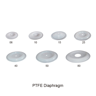진동판 PTFE 공기는 이중 격판 펌프 일부를 운영했습니다